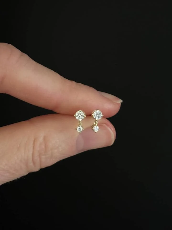 Double Stud Drop Earring